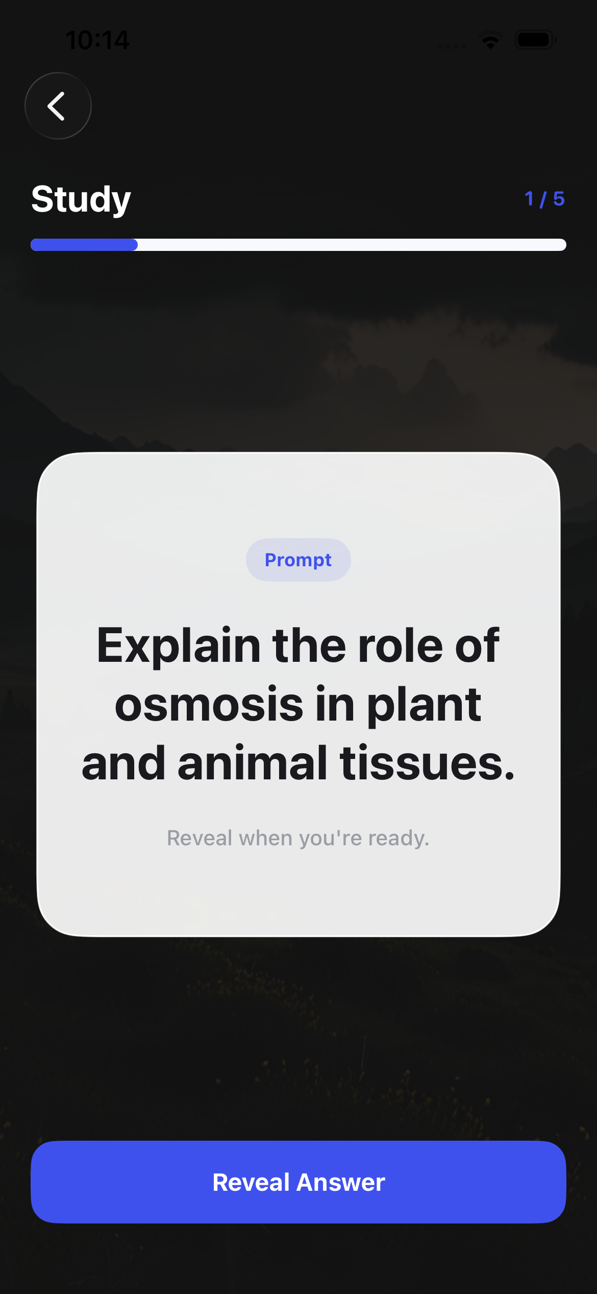 Mnemo focused study screen with a single prompt